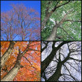 spring-summmer-fall_s