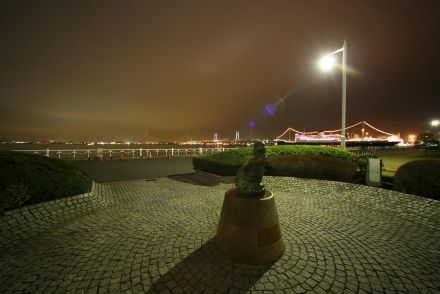120152334300216423118