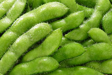 P017566_s