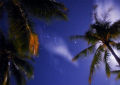 Ph011447_s