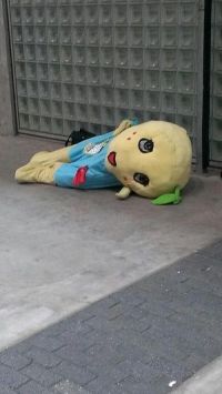 t (1)
