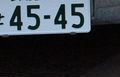 P027028_s
