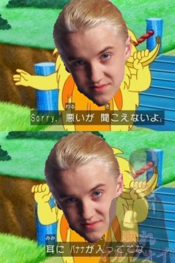t (4)