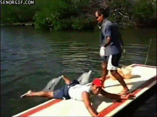 1d (4)