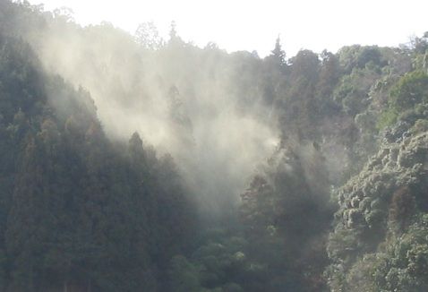 Ph000186