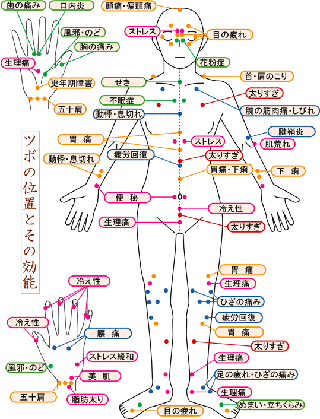 ツボの図