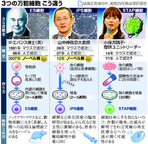 AS20140205001851_commL