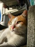 images(2)