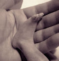 Ph008748_s