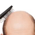 shutterstock_96138953