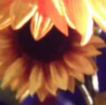 Ph005240_s