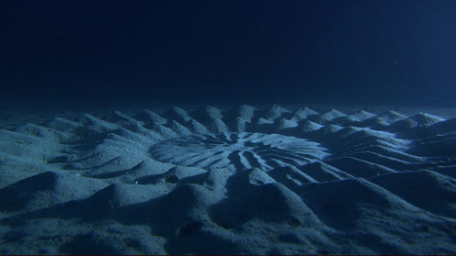 mystery-circle-02-500x281