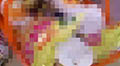 Ph018134