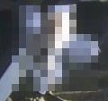 sPH004749