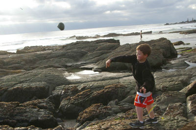 throwing-stone_s