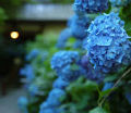 P020340_s