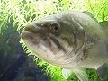 s_img_784677_20665597_0