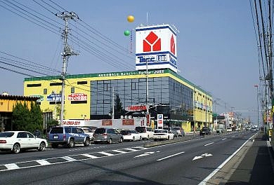 55 55