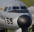 P019483_s