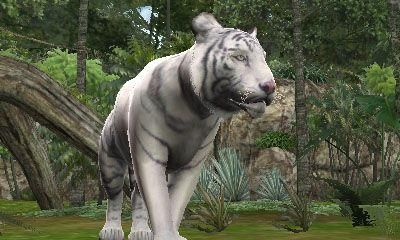 fっr
