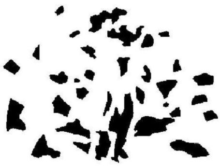 n (1)