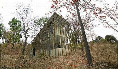 architects_envision_bamboo_supported_building_image_title_eu5an