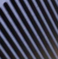 P020550_s