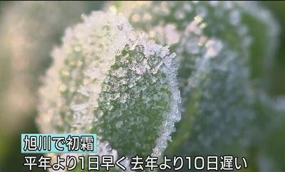 sPH003704