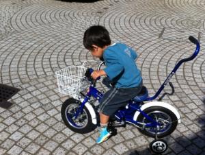 IMG_8179_convert_20120521131511