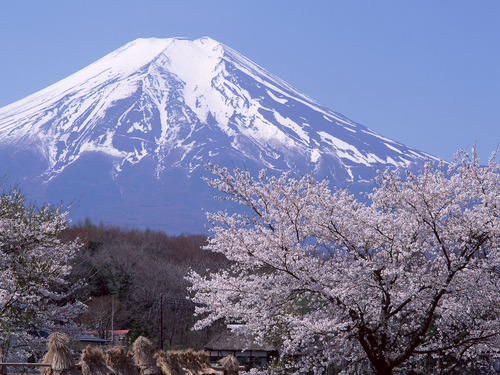1600fuji_1033