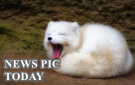 SnapCrab_2013-4-1_17-35-56_No-00