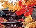 ssaimyoji2