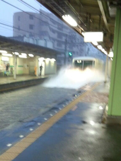 sshinkeisei