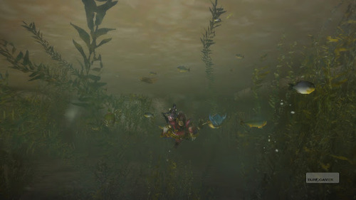 MH3HD (5)