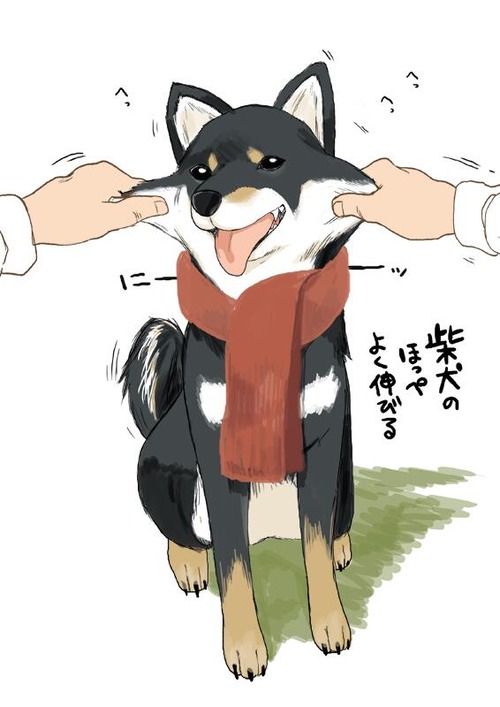 no title