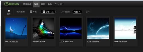 Bitcasa (11)