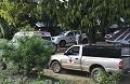 sPH004246