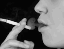 v (2)