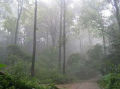 Ph007787_s