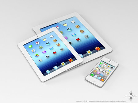 iPad mini (1)