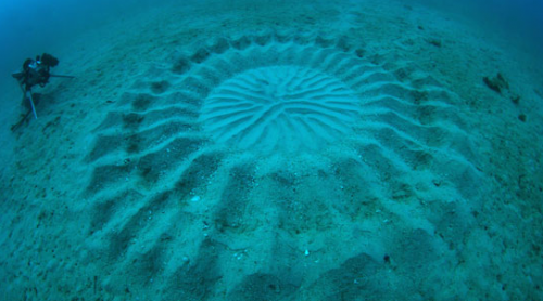 mystery-circle-500x278