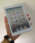 ipadmini (5)