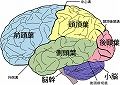 sPH003310