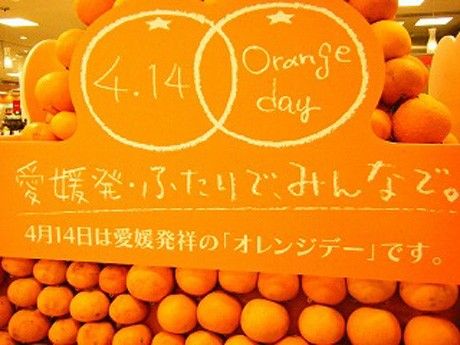 1270457844_photo