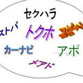 capture7