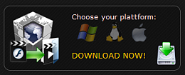 xVideoServiceThief (3) xVideoServiceThief (3)