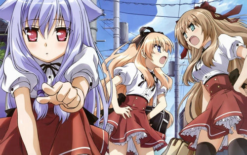 mayoineko9