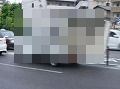 sPH003384
