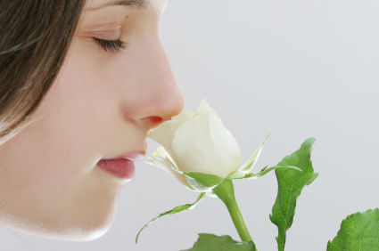 whiterose_beauty