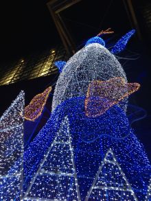 IMG_0704